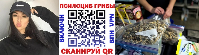 Псилоцибиновые грибы ЛСД  Дубовка 